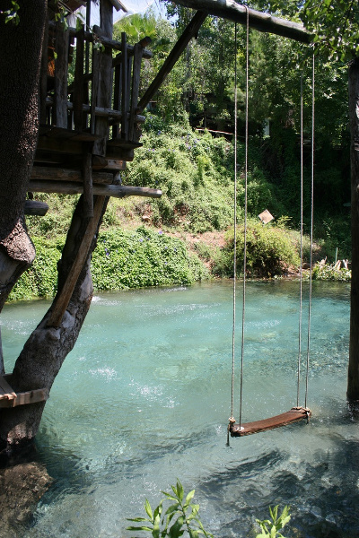 swimming_pool_that_looks_like_a_pond